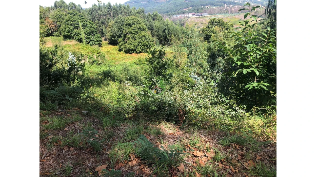 Terreno para Venda em Penso Foto 6