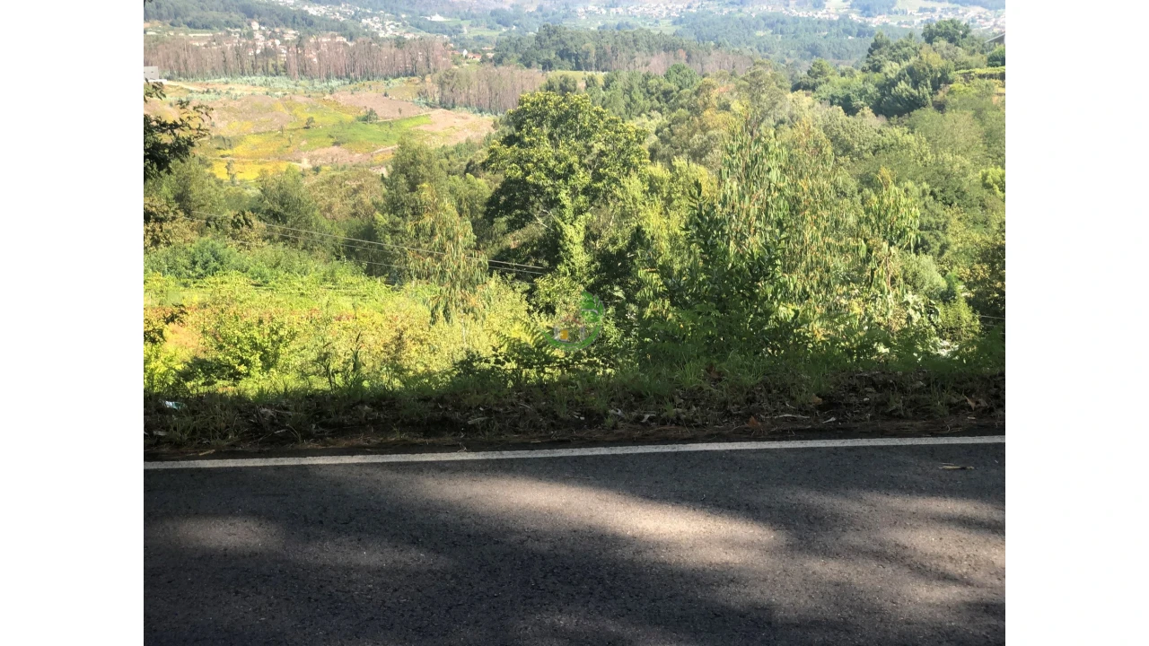 Terreno para Venda em Penso Foto 5