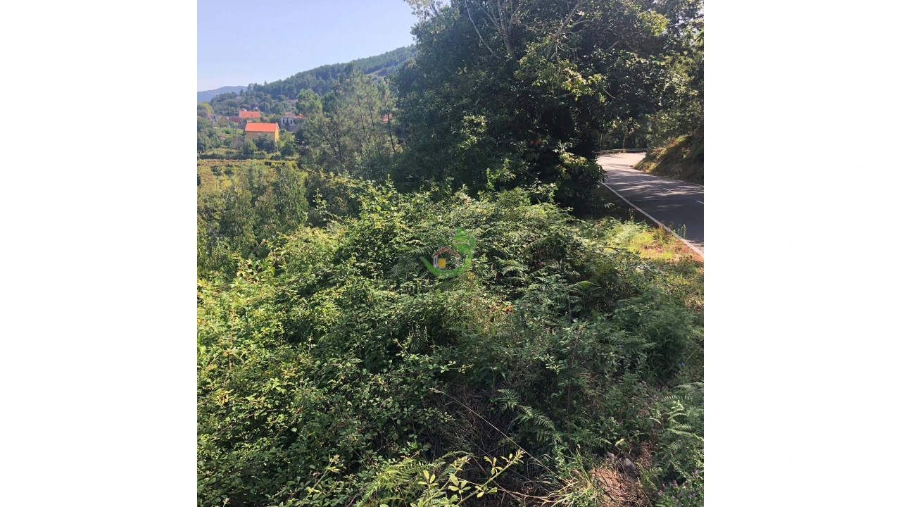 Terreno para Venda em Penso Foto 8