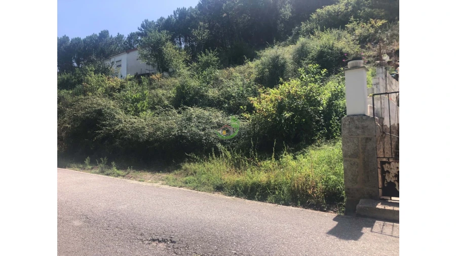 Terreno para Venda em Penso Foto 6