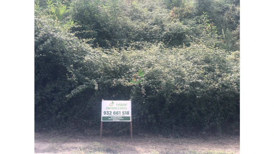 Terreno para Venda em Penso Foto 2