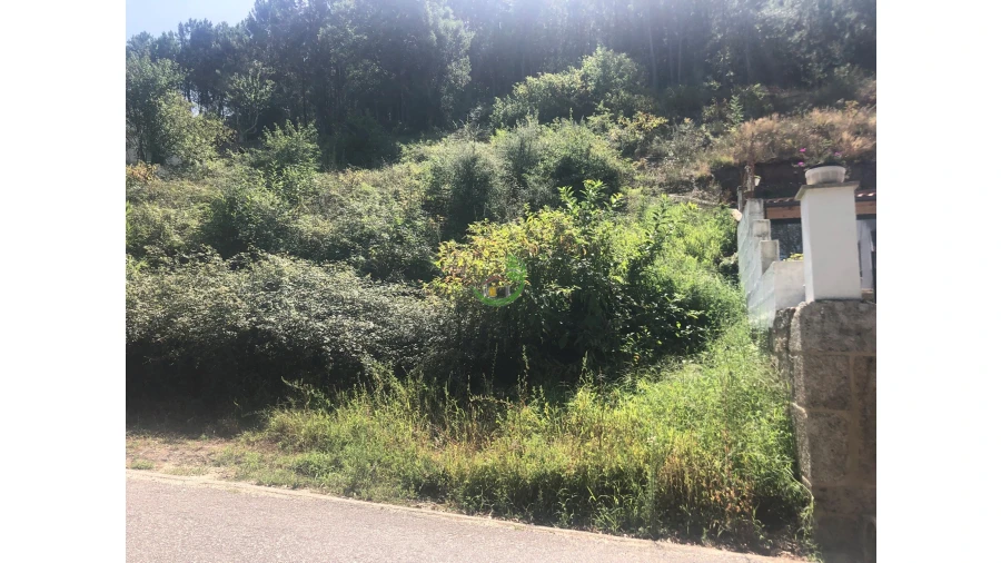 Terreno para Venda em Penso Foto 3