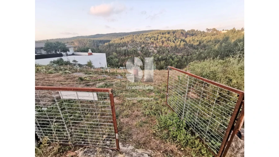 Terreno para Venda em Folgosa Foto 2