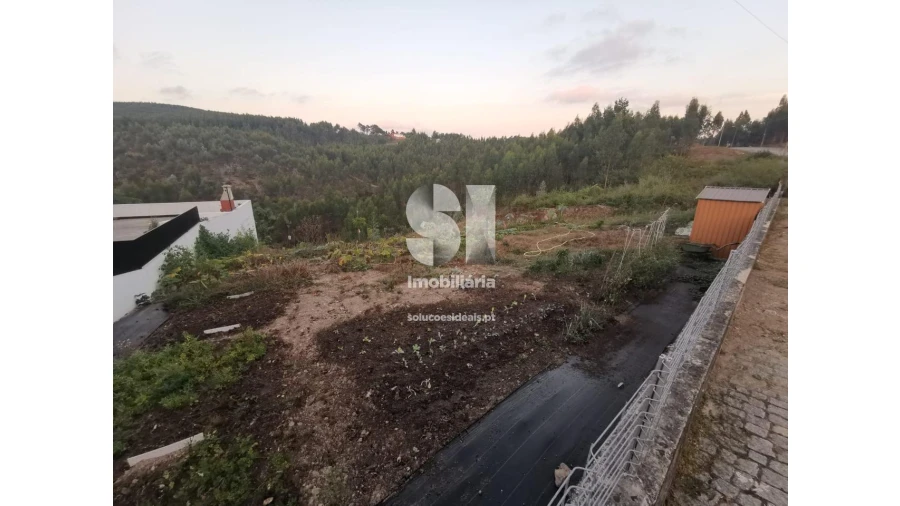Terreno para Venda em Folgosa Foto 3