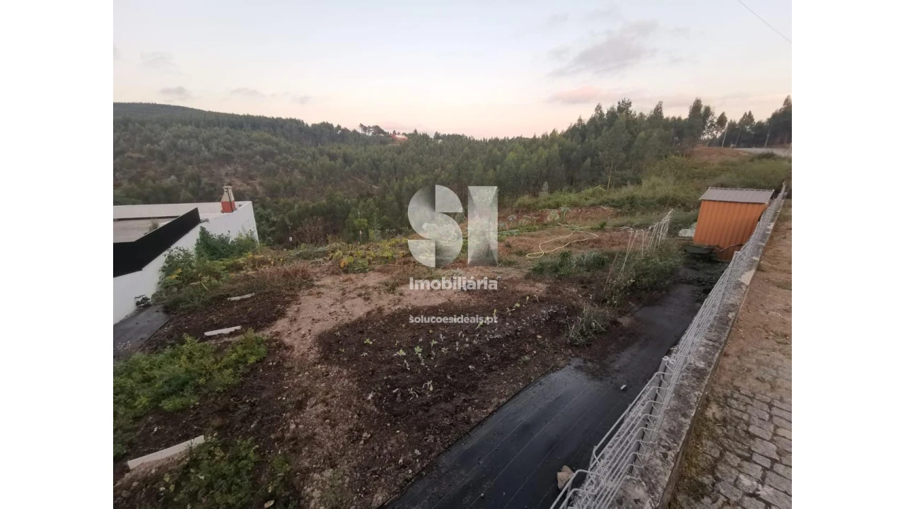 Terreno para Venda em Folgosa Foto 3