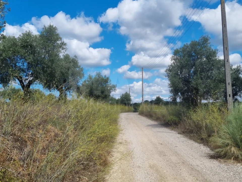 Terreno para Venda em Mouriscas Foto 2