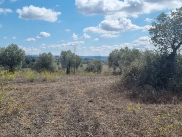 Terreno para Venda em Mouriscas
