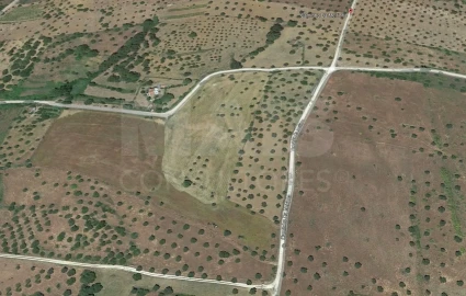 Terreno para Venda em Mouriscas