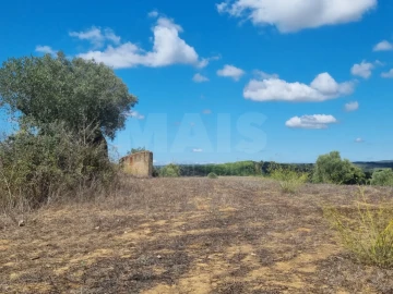 Terreno para Venda em Mouriscas