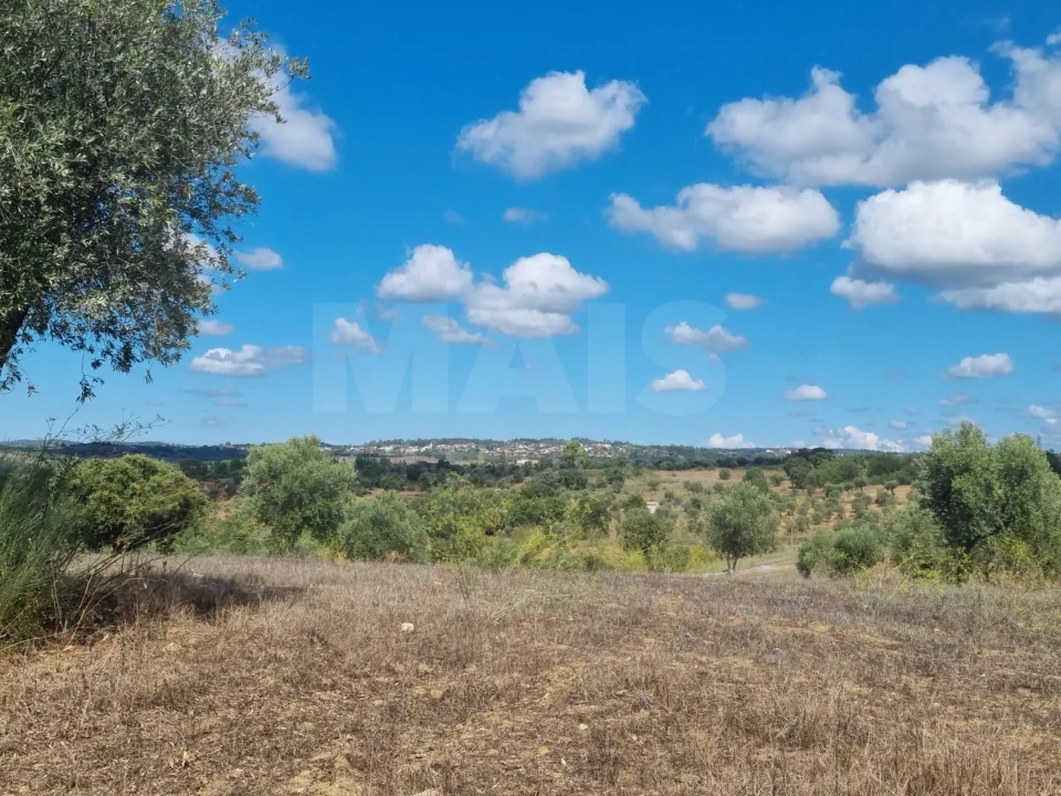 Terreno para Venda em Mouriscas Foto 3