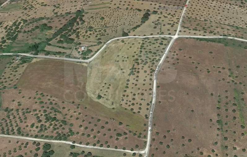 Terreno para Venda em Mouriscas Foto 3