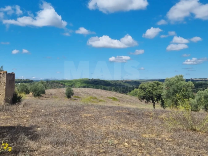Terreno para Venda em Mouriscas Foto 5
