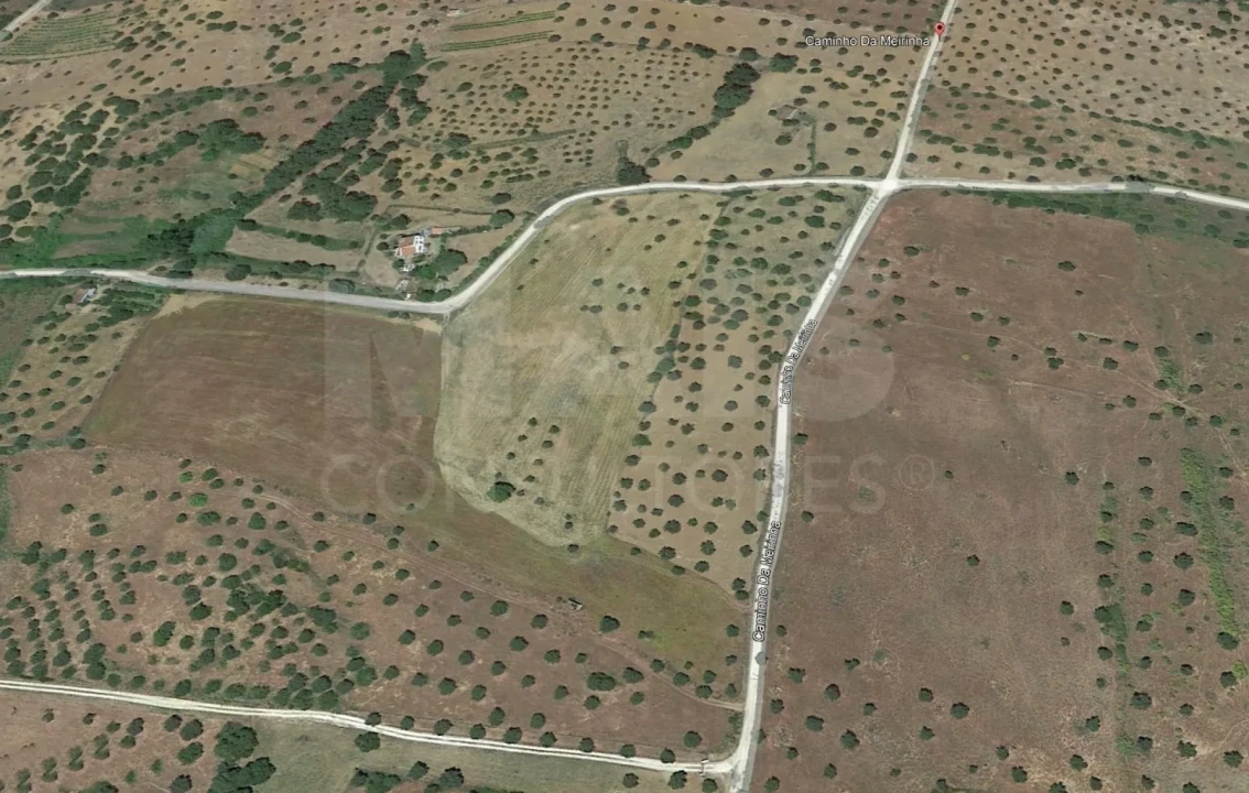 Terreno para Venda em Mouriscas Foto 11