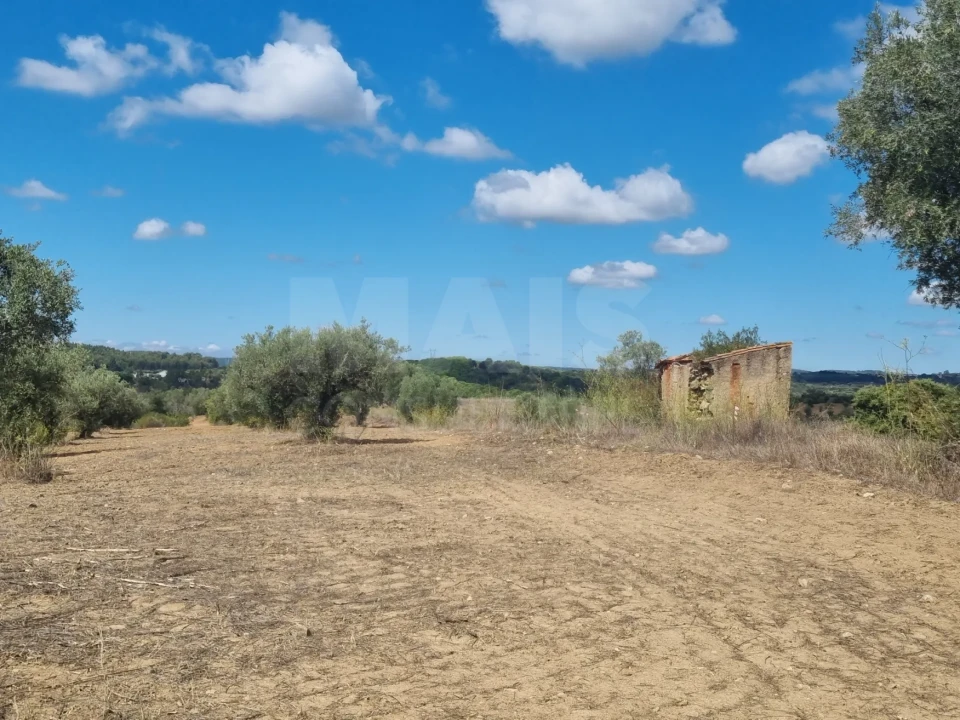Terreno para Venda em Mouriscas Foto 2