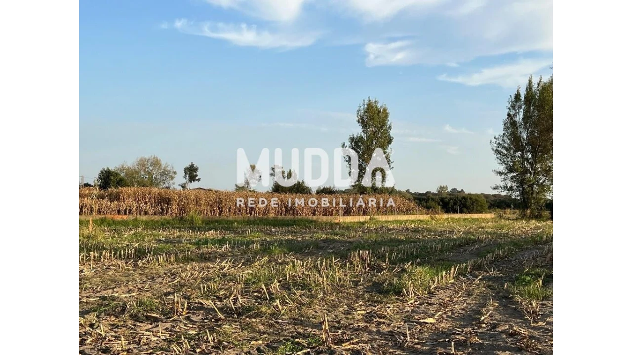 Terreno para Venda em Bunheiro Foto 3