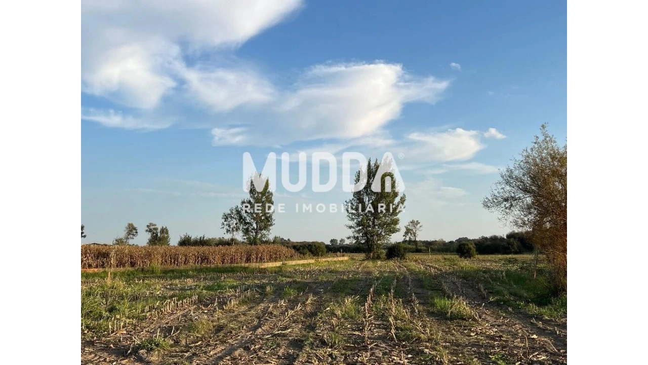 Terreno para Venda em Bunheiro Foto 4