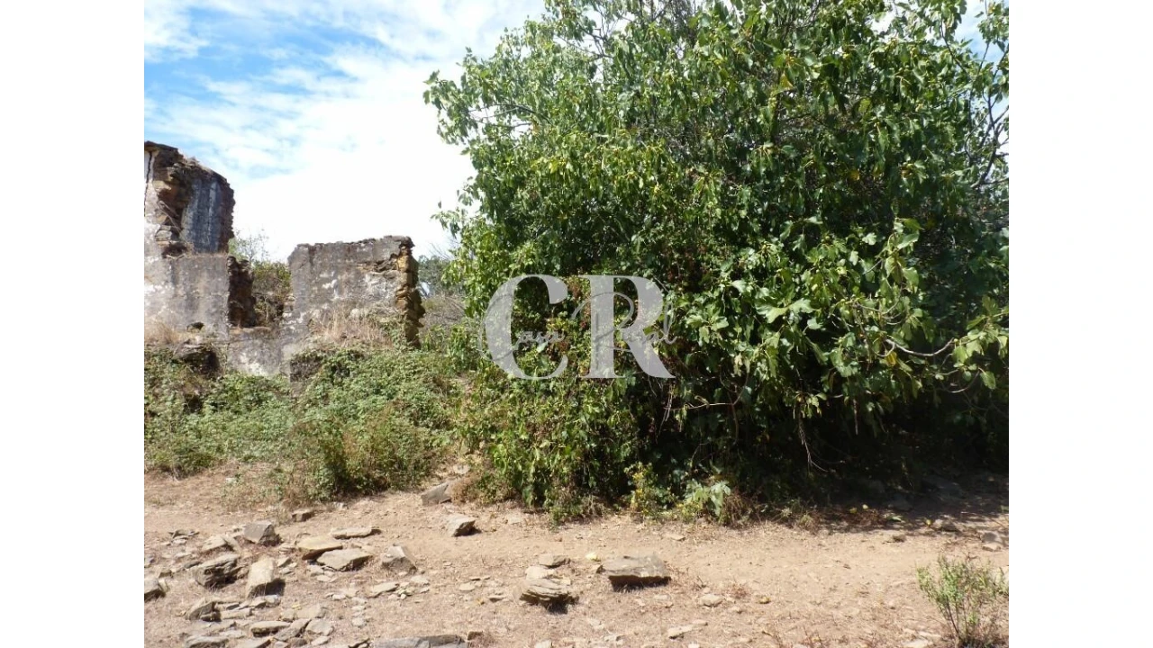 Quinta T4 para Venda em Pedrogão Grande Foto 28