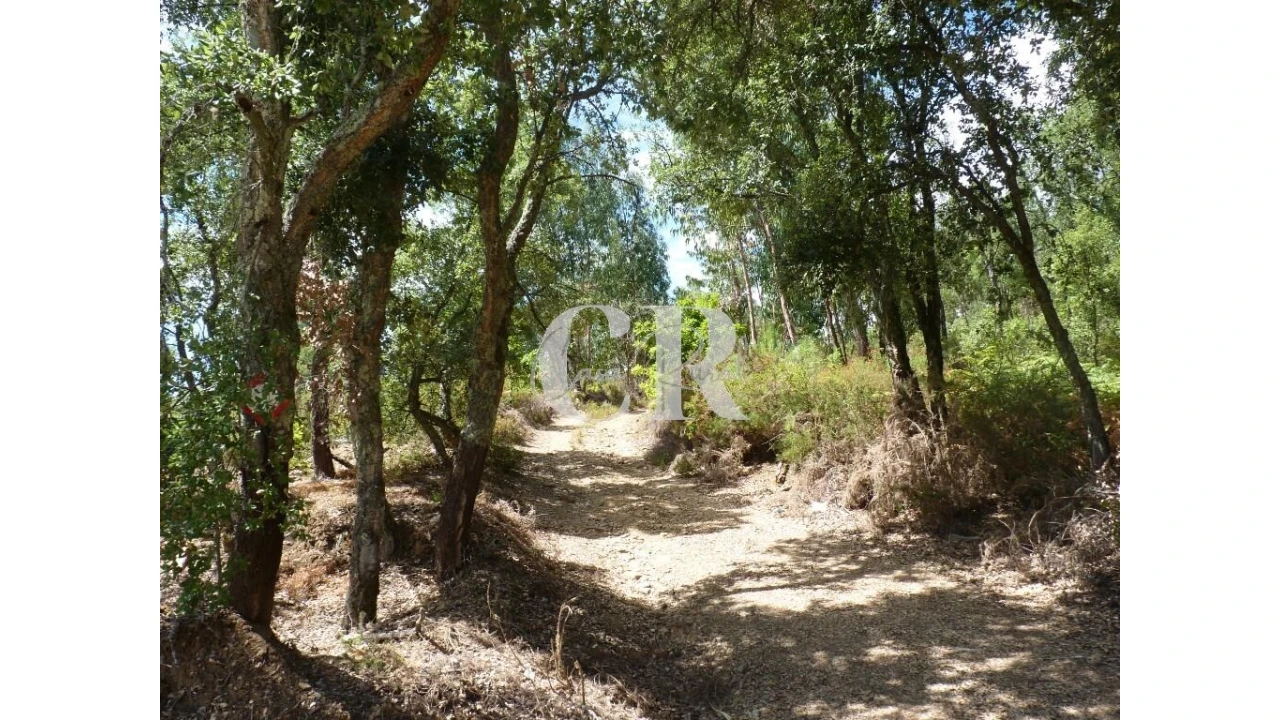 Quinta T4 para Venda em Pedrogão Grande Foto 43