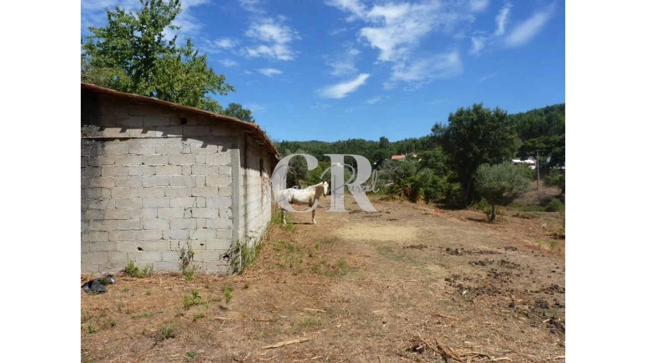 Quinta T4 para Venda em Pedrogão Grande Foto 10