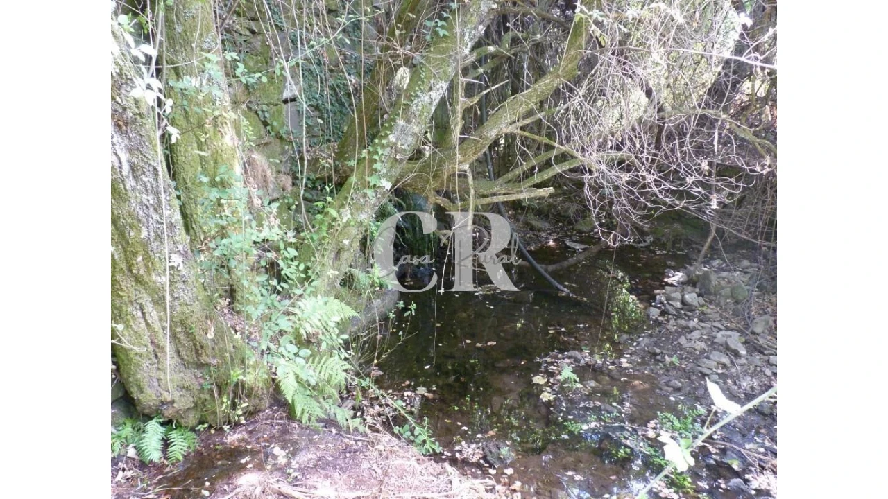 Quinta T4 para Venda em Pedrogão Grande Foto 38