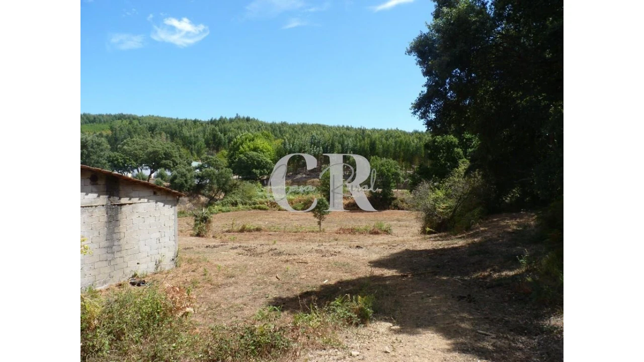 Quinta T4 para Venda em Pedrogão Grande Foto 8