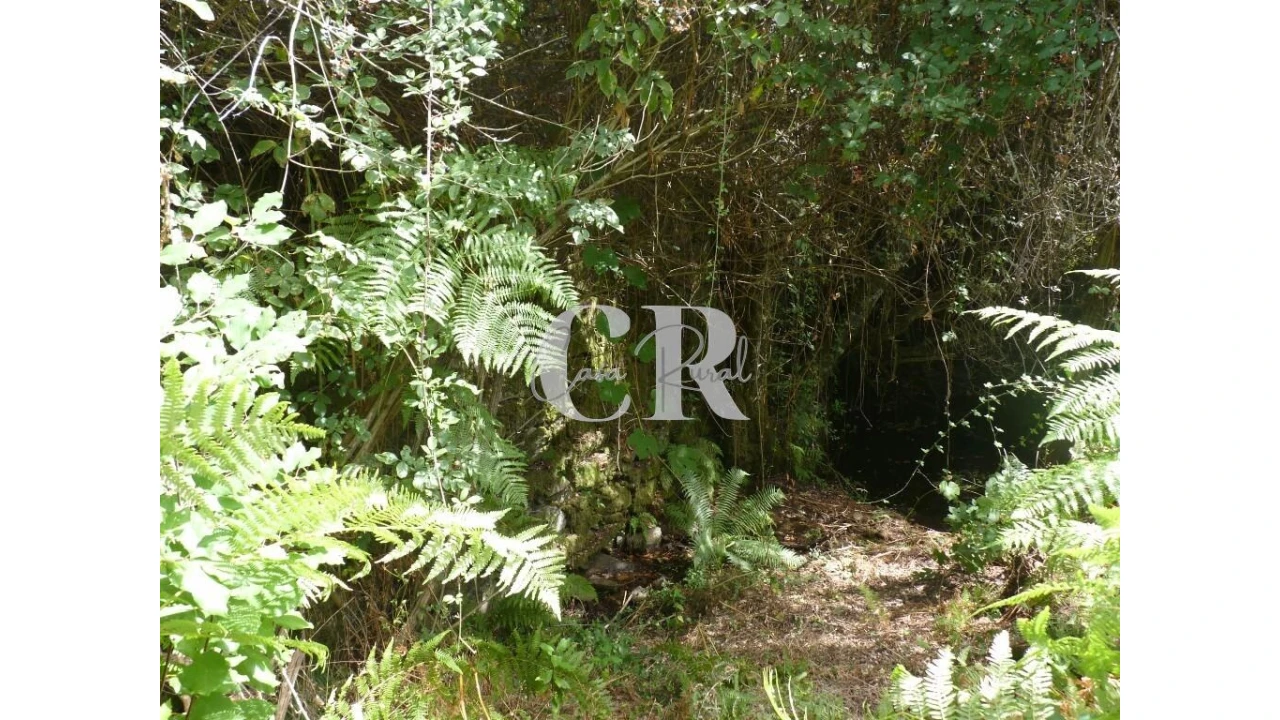 Quinta T4 para Venda em Pedrogão Grande Foto 37