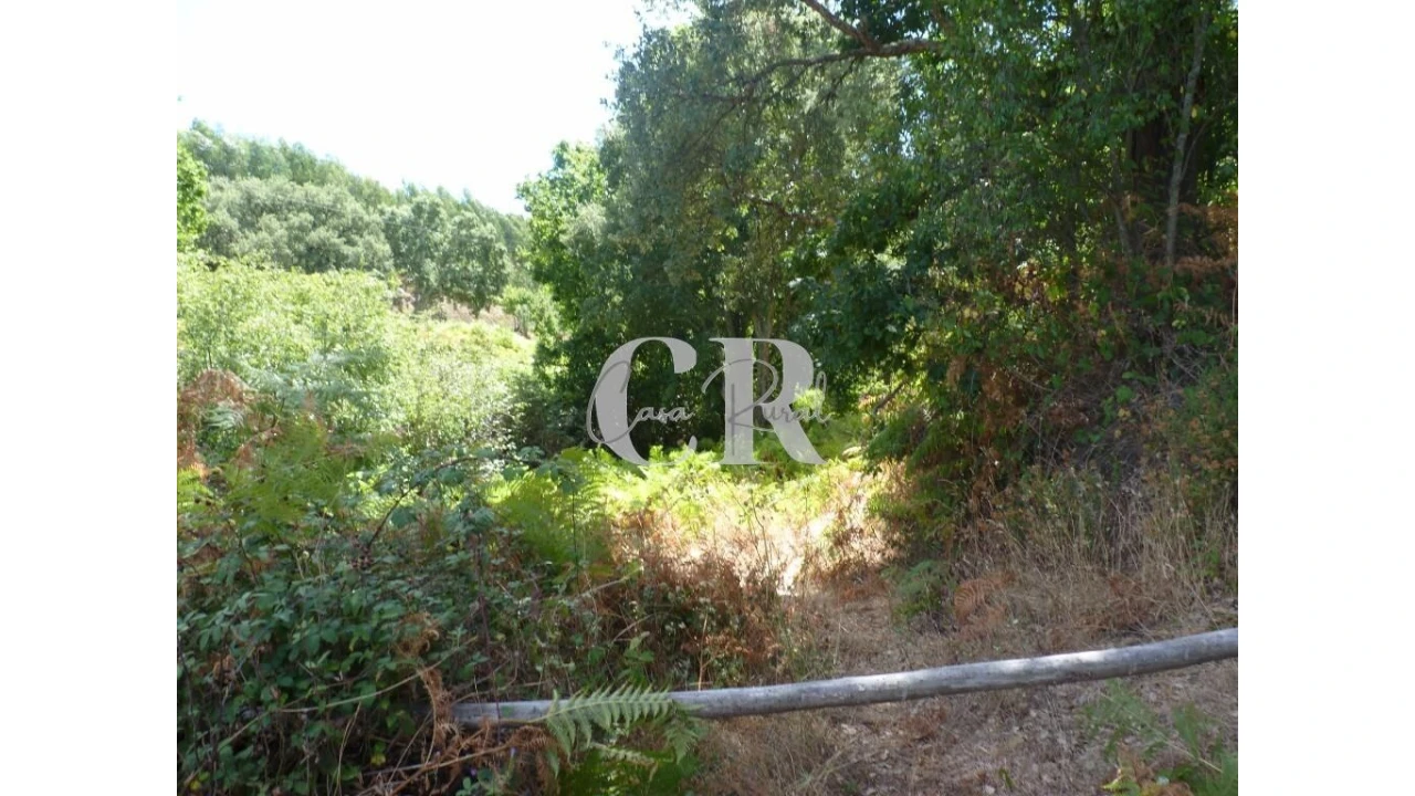 Quinta T4 para Venda em Pedrogão Grande Foto 33