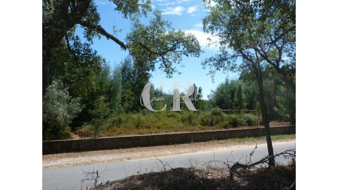 Quinta T4 para Venda em Pedrogão Grande Foto 42