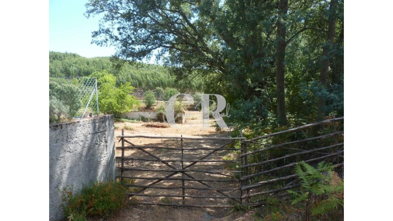 Quinta T4 para Venda em Pedrogão Grande Foto 2