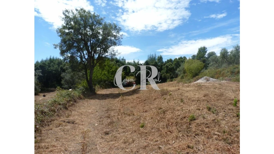 Quinta T4 para Venda em Pedrogão Grande Foto 16