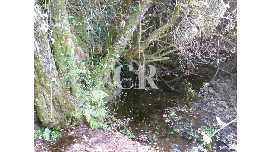 Quinta T4 para Venda em Pedrogão Grande Foto 38