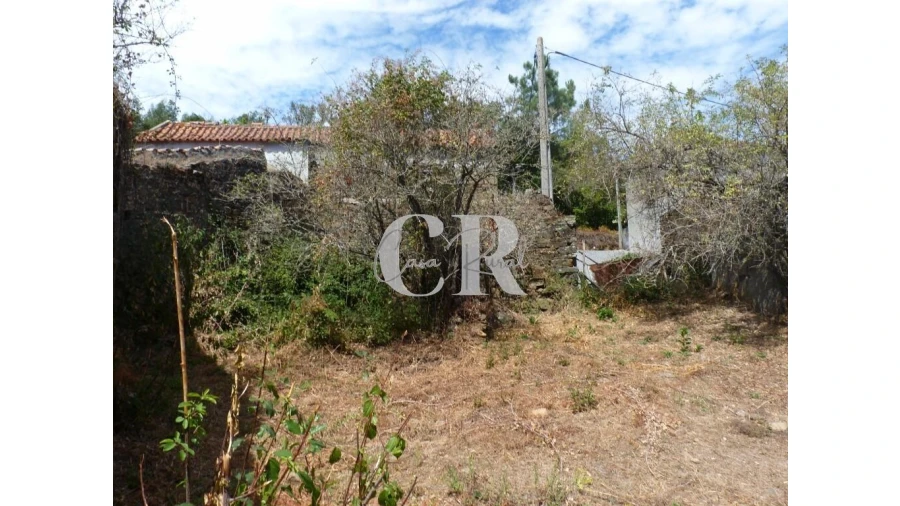 Quinta T4 para Venda em Pedrogão Grande Foto 19