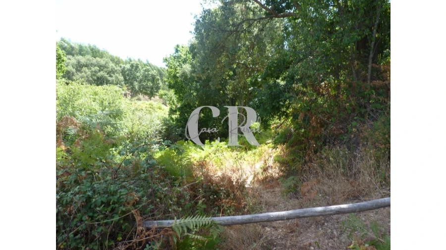 Quinta T4 para Venda em Pedrogão Grande Foto 33