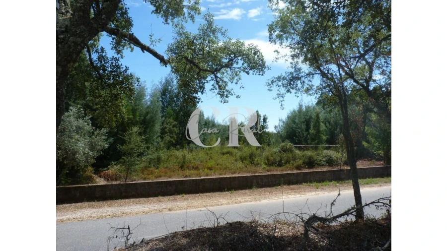 Quinta T4 para Venda em Pedrogão Grande Foto 42