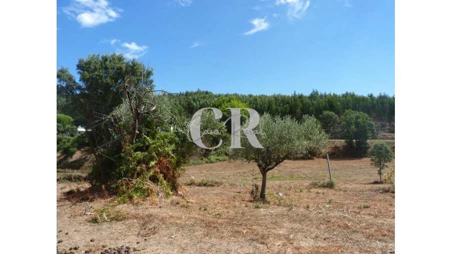 Quinta T4 para Venda em Pedrogão Grande Foto 12