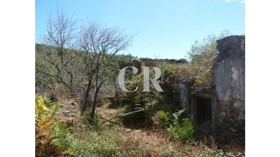 Quinta T4 para Venda em Pedrogão Grande Foto 22