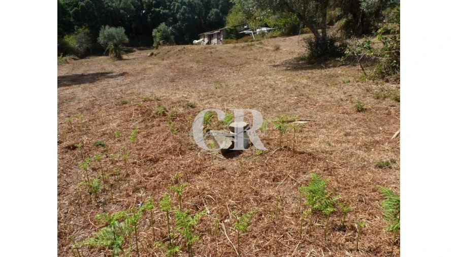 Quinta T4 para Venda em Pedrogão Grande Foto 30