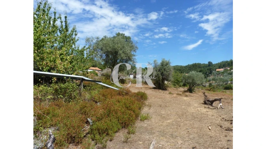 Quinta T4 para Venda em Pedrogão Grande Foto 13