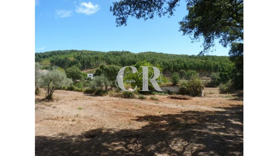 Quinta T4 para Venda em Pedrogão Grande Foto 4