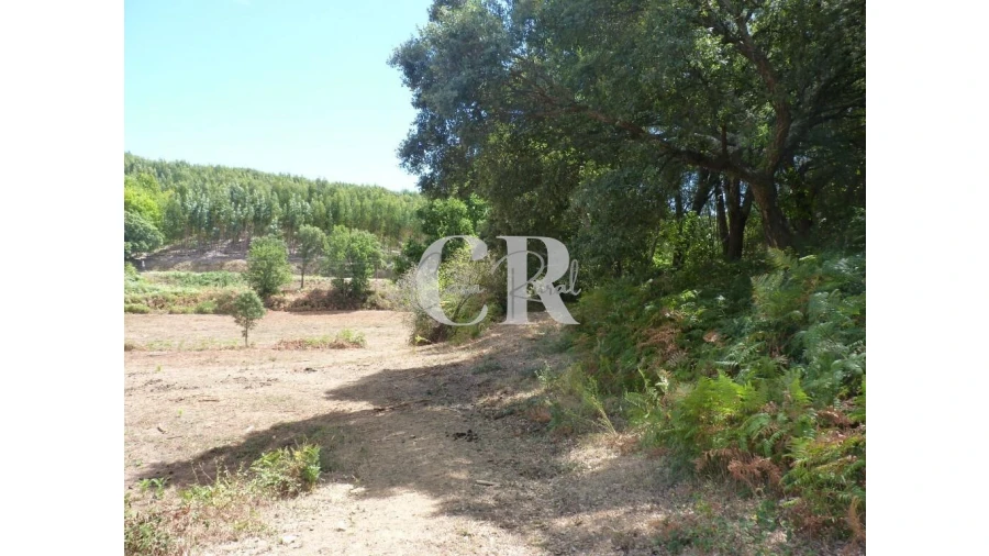 Quinta T4 para Venda em Pedrogão Grande Foto 9