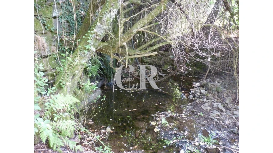 Quinta T4 para Venda em Pedrogão Grande Foto 39