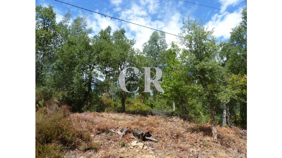 Quinta T4 para Venda em Pedrogão Grande Foto 41