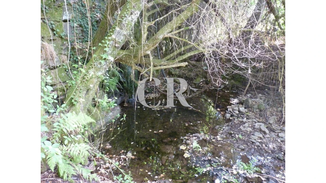 Quinta T4 para Venda em Pedrogão Grande Foto 39