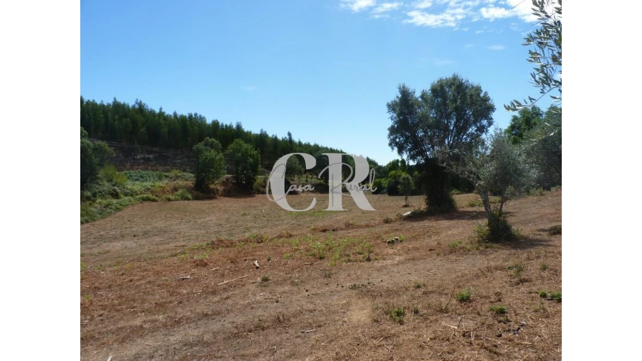 Quinta T4 para Venda em Pedrogão Grande Foto 26