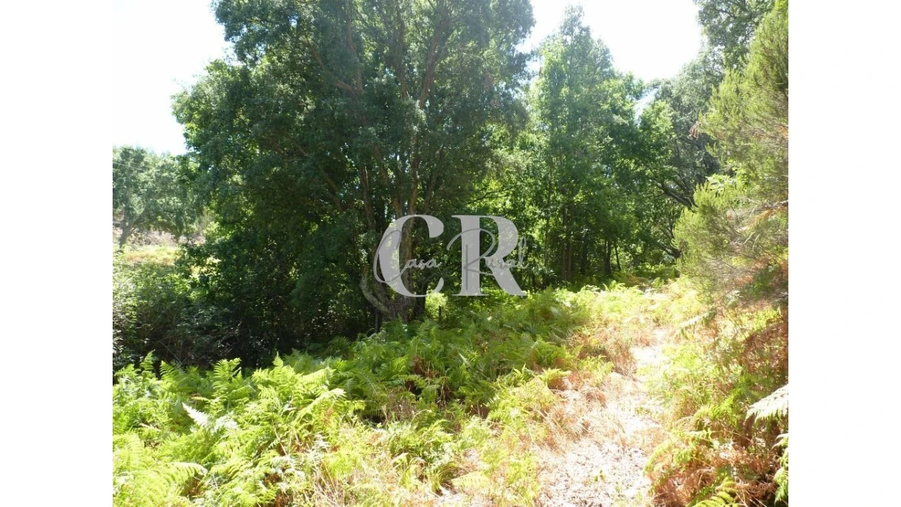 Quinta T4 para Venda em Pedrogão Grande Foto 35