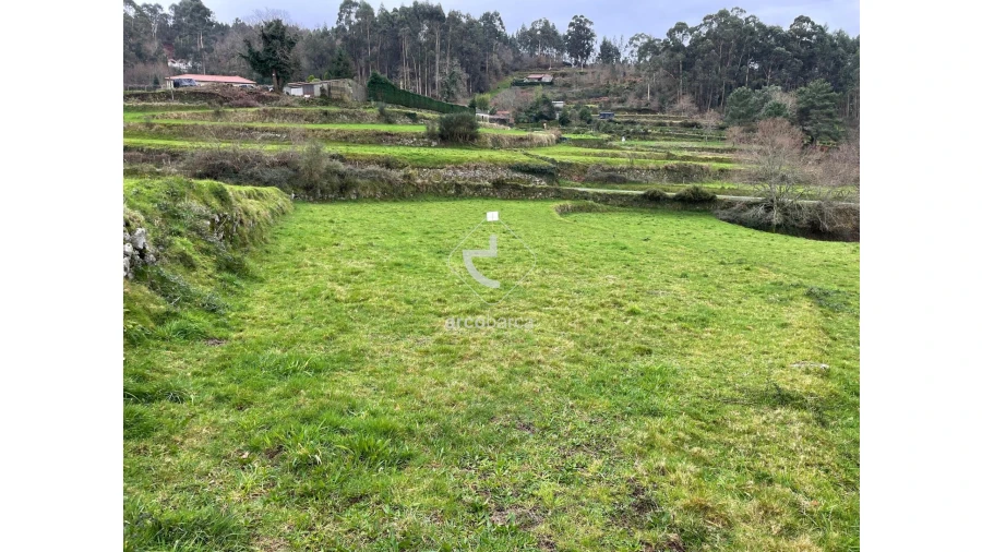 Terreno para Venda em Cunha