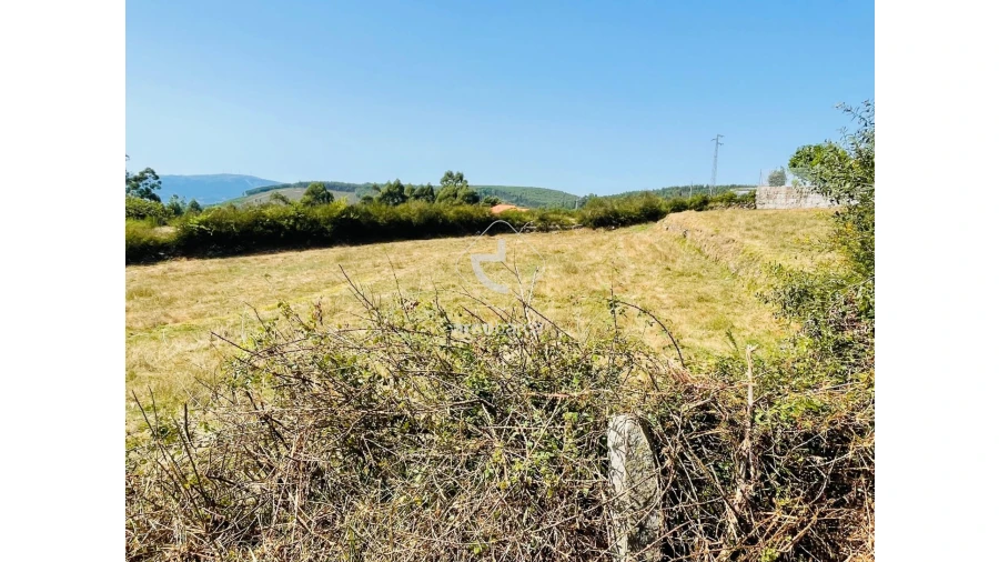 Terreno para Venda em Cunha Foto 20