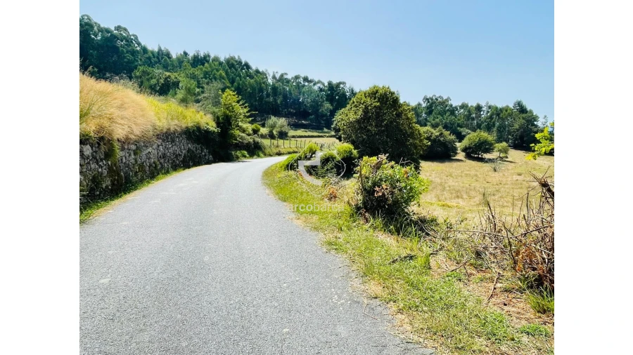 Terreno para Venda em Cunha Foto 22