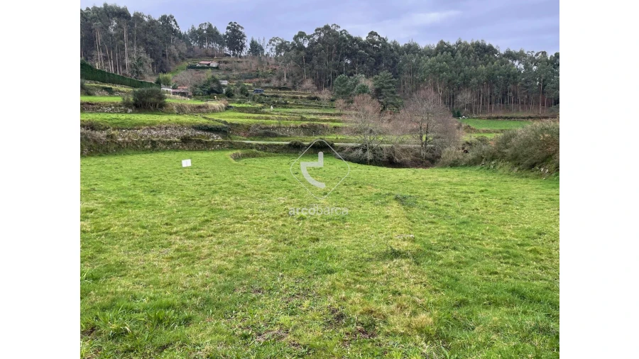 Terreno para Venda em Cunha Foto 2