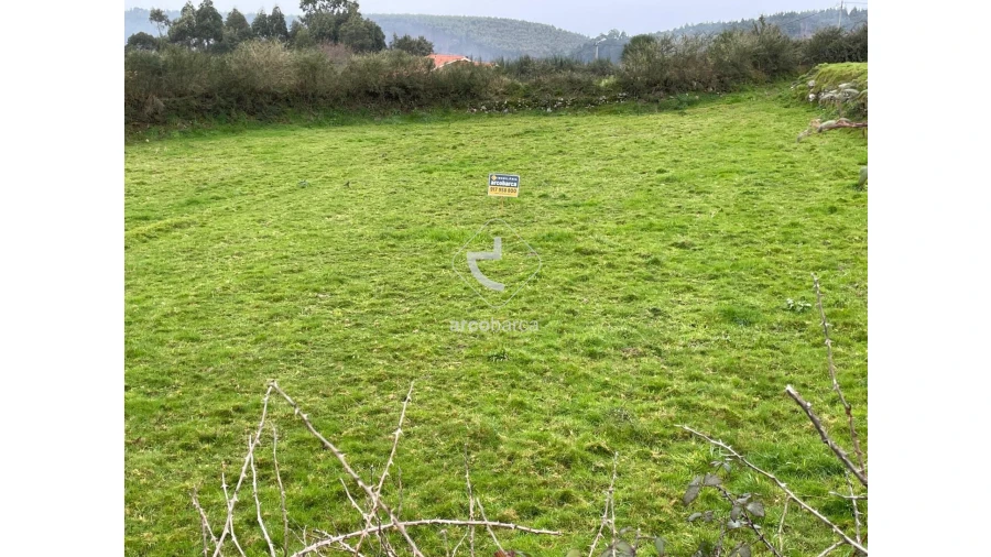 Terreno para Venda em Cunha Foto 3